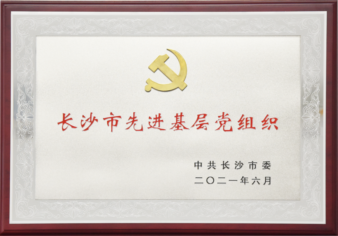 喜訊！長(zhǎng)沙市“兩優(yōu)一先”表彰大會(huì)召開(kāi)，博天堂(btt)官網(wǎng)-918博天堂,讓你更精彩喜獲兩項(xiàng)榮譽(yù)！